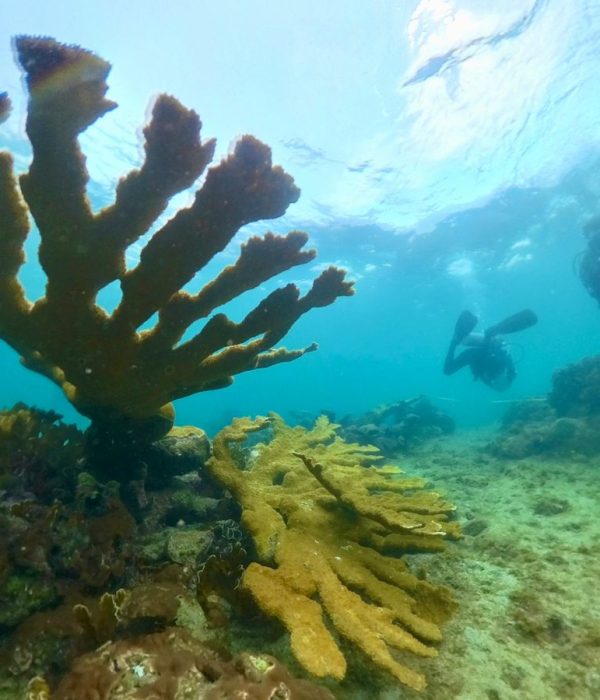 commercial_diving_panama_social_responsability_img_2