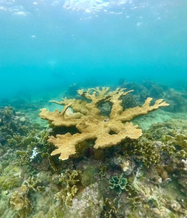 commercial_diving_panama_social_responsability_img_3